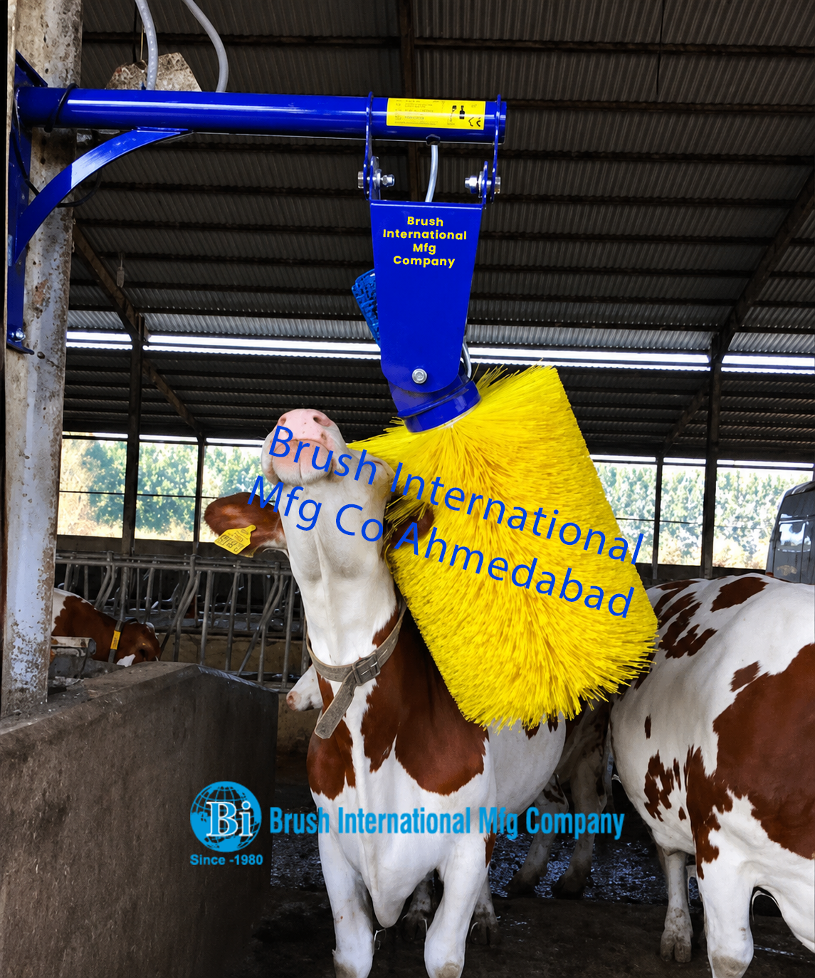 Cow Grooming Brush