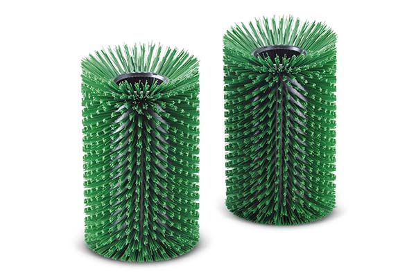 Scrubbing Brush